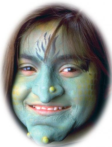 Грим злой ведьмы - купить 