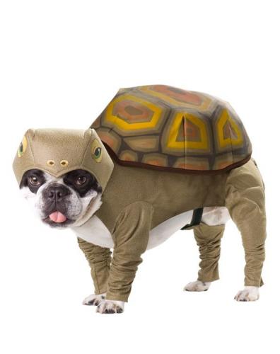Костюм для собаки Черепаха - купить 