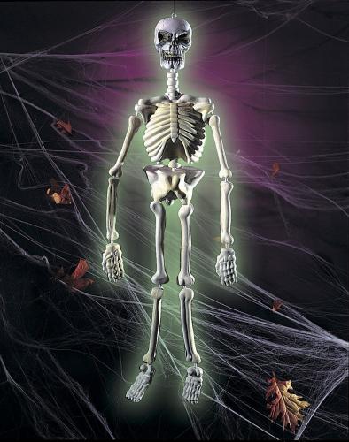 Светящийся в темноте скелет - купить 