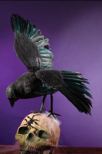 Декоративный черный ворон - купить 