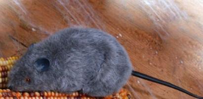 Серая плюшевая крыска 15 см