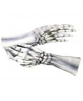 Супер руки скелета