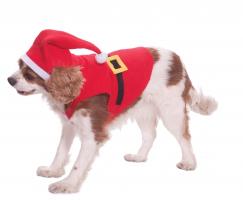 Костюм для собаки Санта