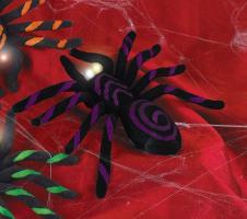 Тарантул со светящимися глазами фиолетовый