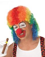 Парик клоуна разноцветный