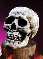 Декоративный череп 20 см