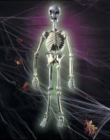 Светящийся в темноте скелет