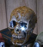 Светящийся замшелый череп