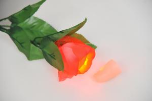 Набор фокусника Волшебная роза