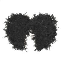 Черные пушистые крылья ангела